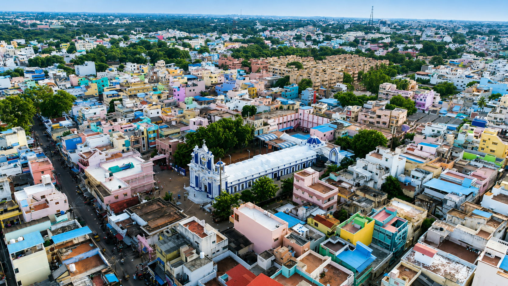 Birds view